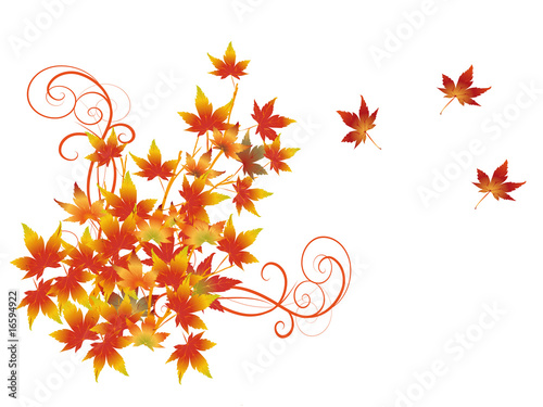Wallpaper Mural Herbst Torontodigital.ca