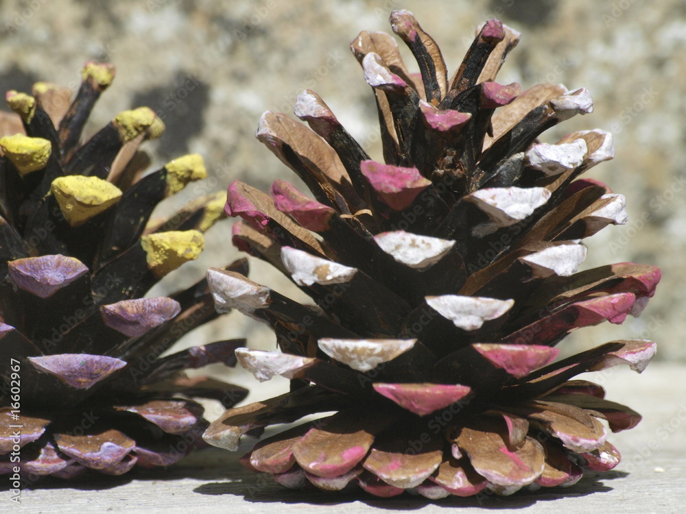 Piñas decoradas foto de Stock | Adobe Stock