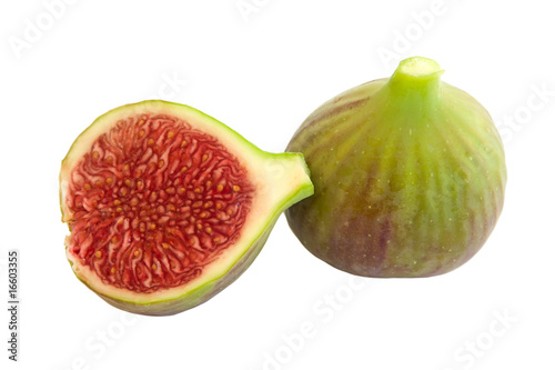 fig and section