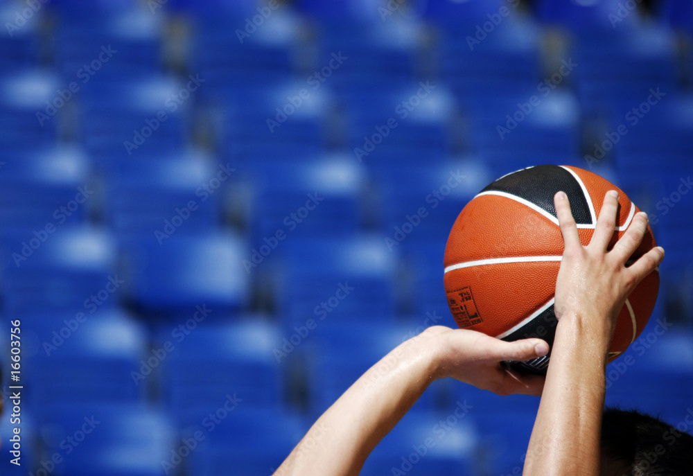 Obraz premium Basketball