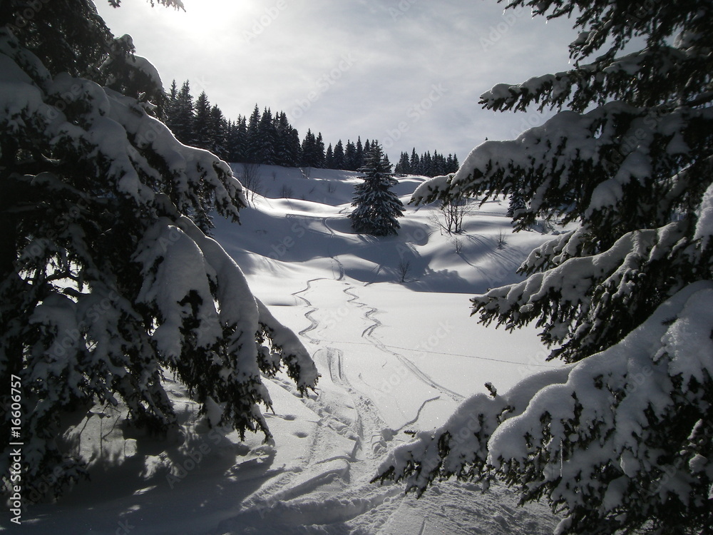 Obraz premium hors piste_combloux