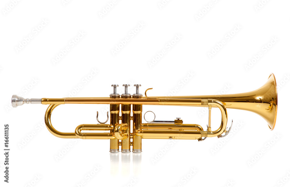 Naklejka premium Trumpet