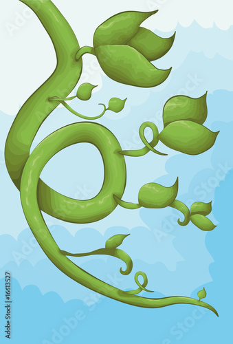 Hand drawn illustrated vine
