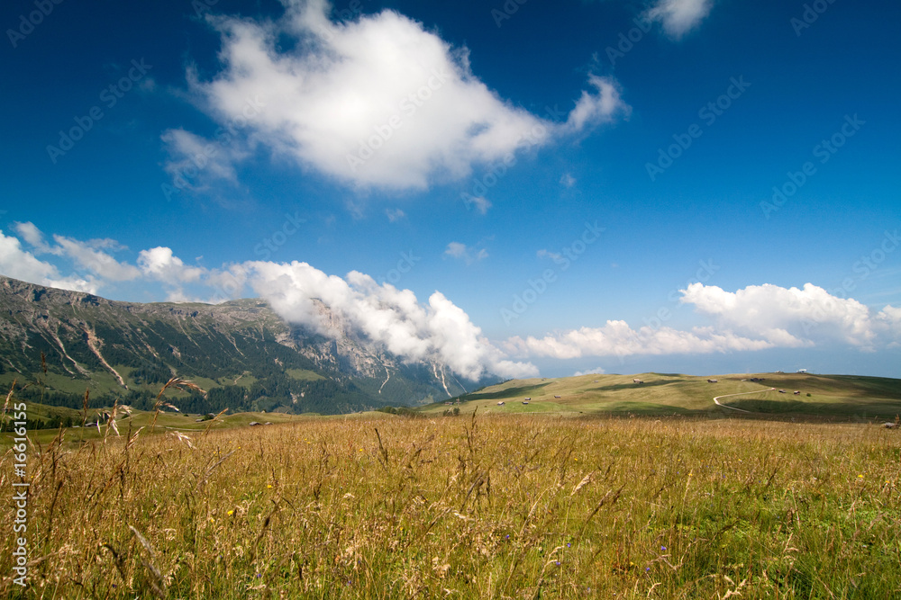 Seiser Alm in Südtirol