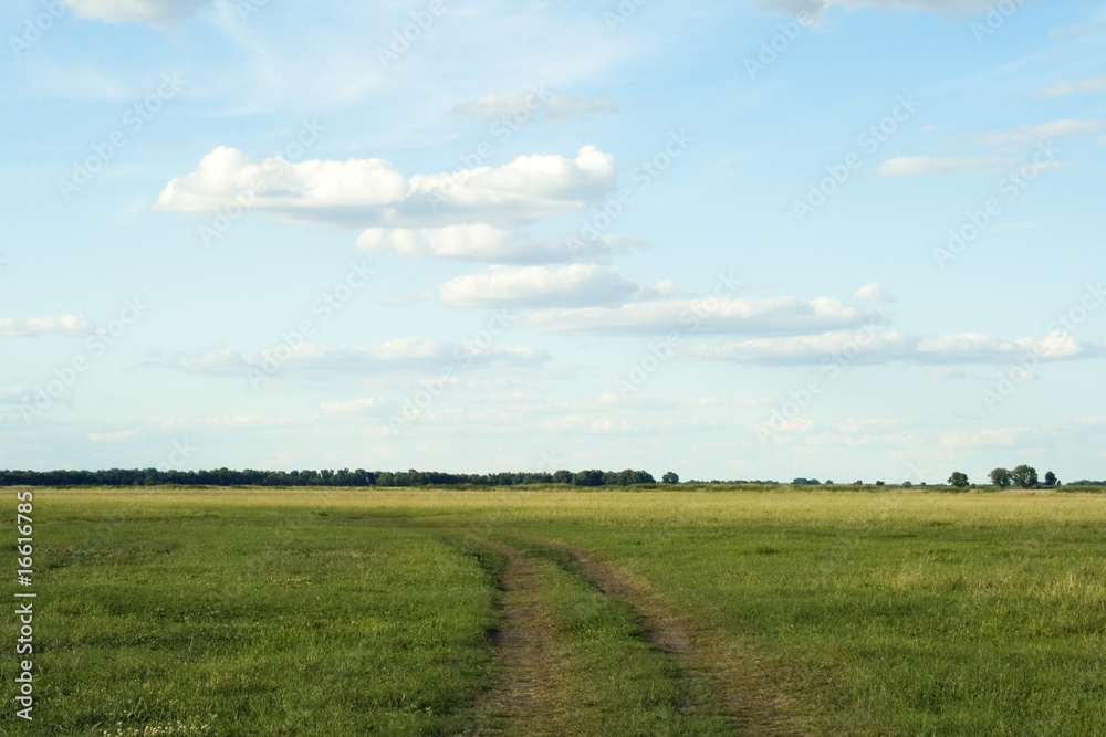 Desert road to horizon and deep blue sky