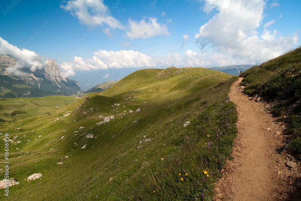 Fototapeta premium Seiser Alm in Südtirol
