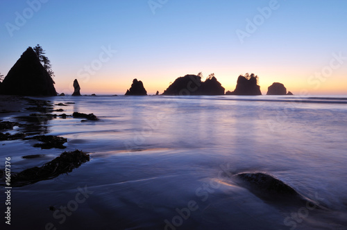 Принти на полотні Point of Arches, Shi Shi Beach, Washington