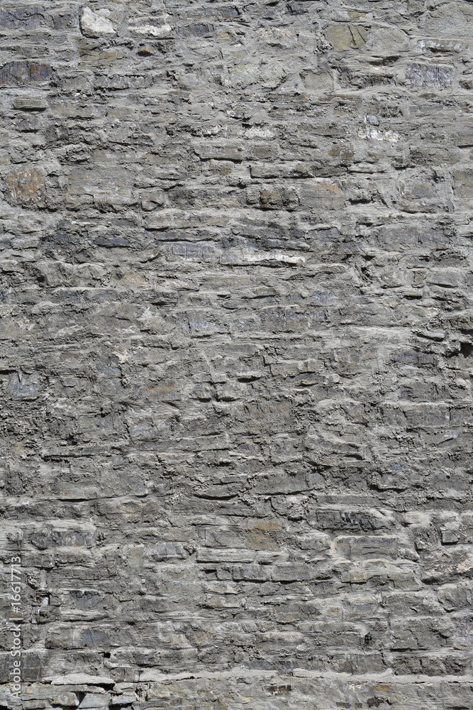 Obraz premium Old castle wall.