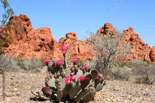 Valley of Fire, Nevada