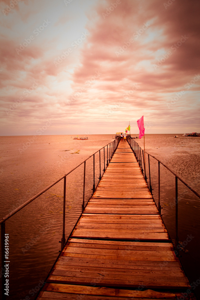 Obraz premium bridge