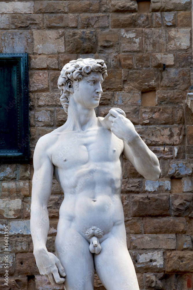 Il Davide di Michelangelo a Firenze