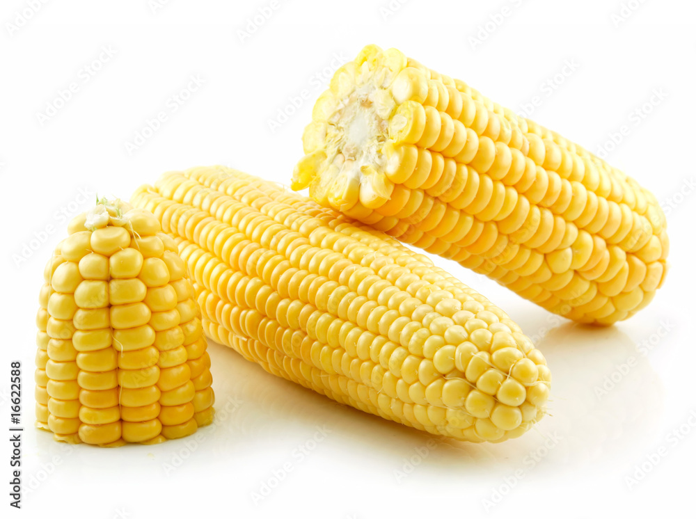 Ripe Broken Yellow Corn Isolated on White Ripe Broken Yellow Corn Isolated on White