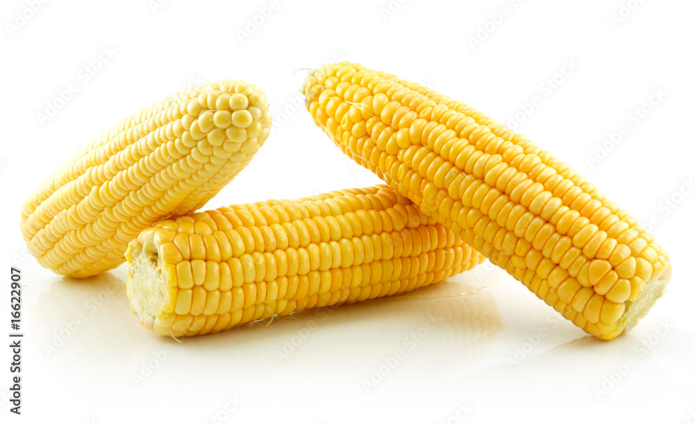 Ripe Yellow Corn Isolated on White Ripe Yellow Corn Isolated on White