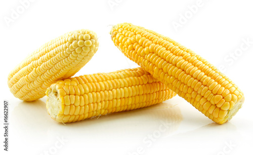 Ripe Yellow Corn Isolated on White
