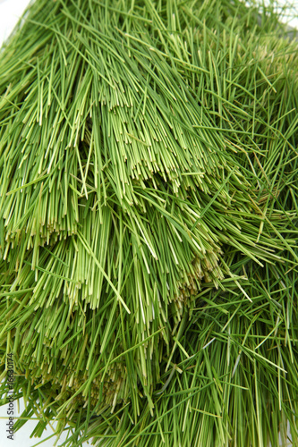 Pile of Wheatgrass