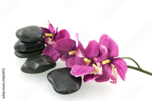 Massage stones with pink orchid
