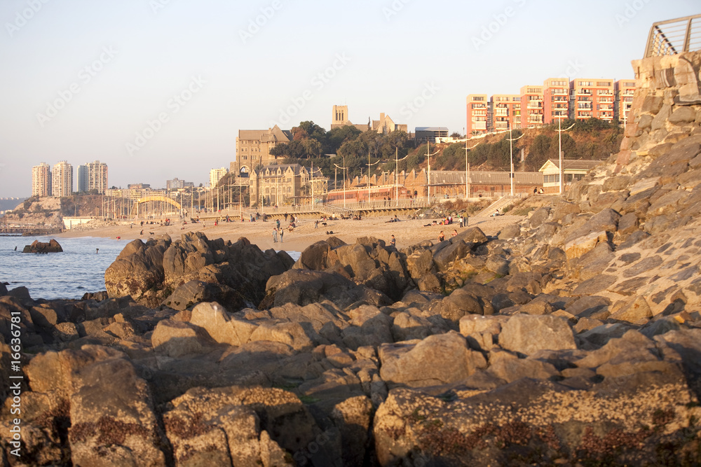 Fototapeta premium Valparaiso Beach