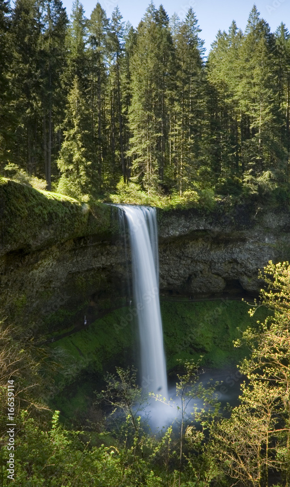 Fototapeta premium Silver Falls State Park, South Falls