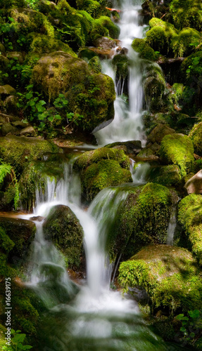 Silver Falls State Park