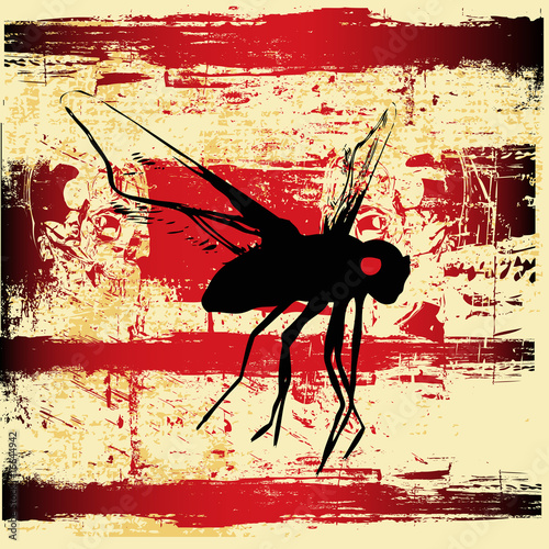 Grunge Fly Background