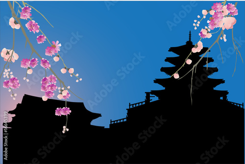 chinese city silhouette and cherry tree blossom