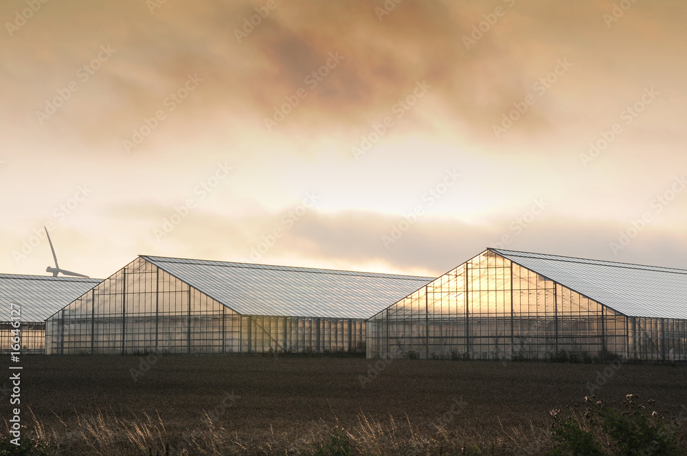 Obraz premium greenhouse sunrise