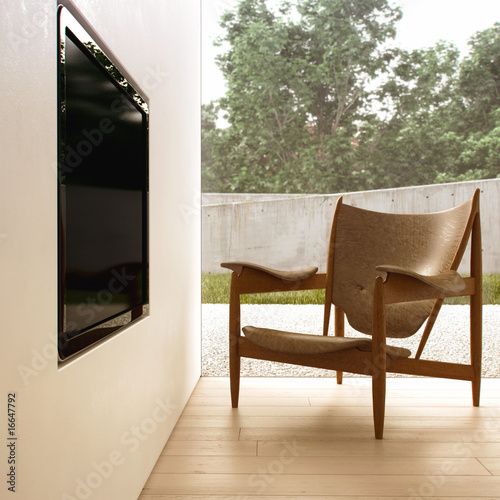 Designer armchair and LCD television