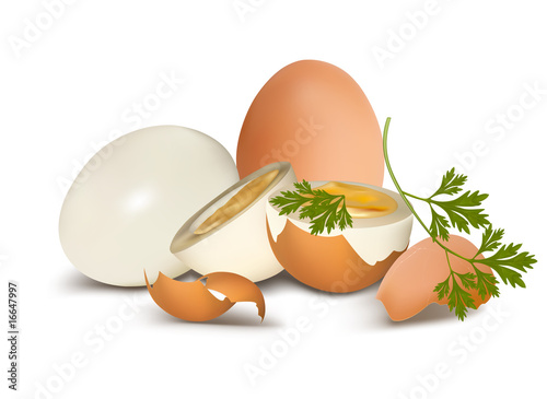 Vector. Brown boiled egg on white background.