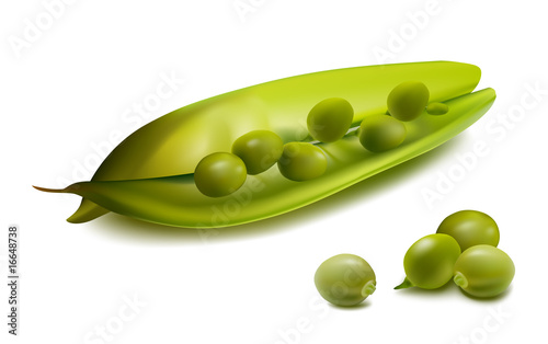 Vector. Peas.
