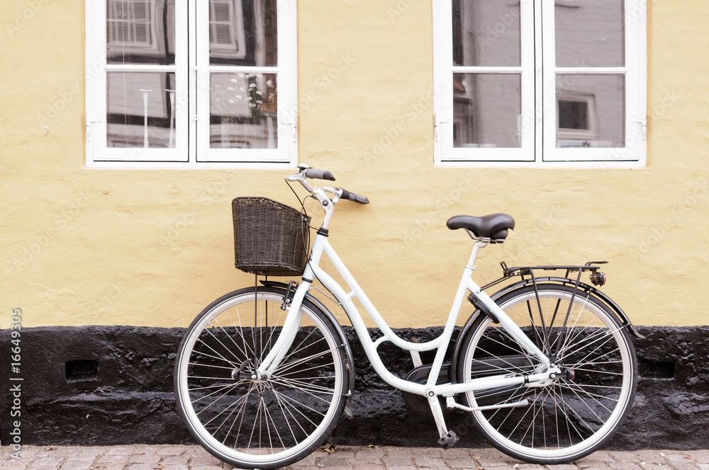 bike in denmark