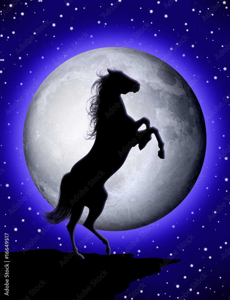 Cavallo Selvaggio-Wild Horse-Cheval sauvage Cavallo Selvaggio-Wild Horse-Cheval sauvage