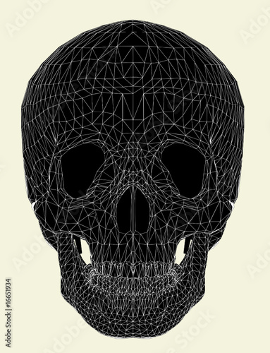 Human Skull Vector 01