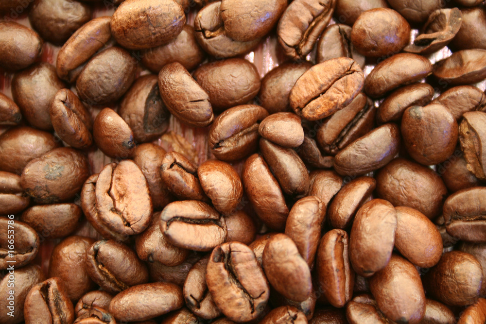 Kaffeebohnen Kaffeebohnen
