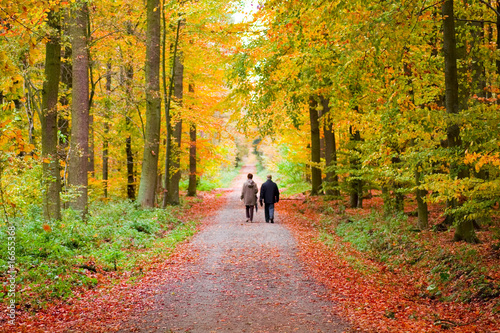 Herbstspaziergang © Markus Reinke