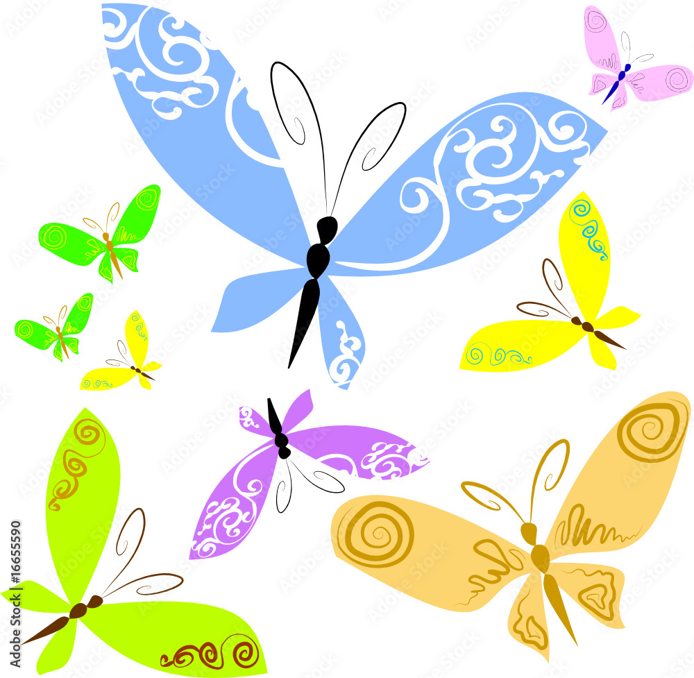 Butterflies Butterflies