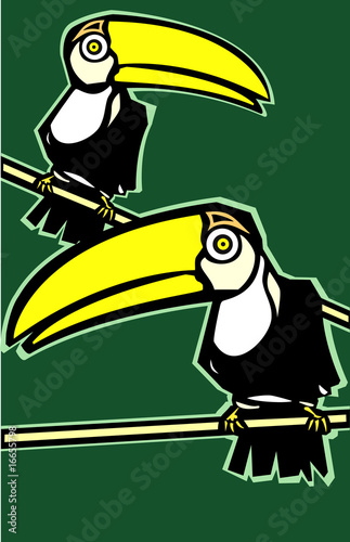 Two Toucans
