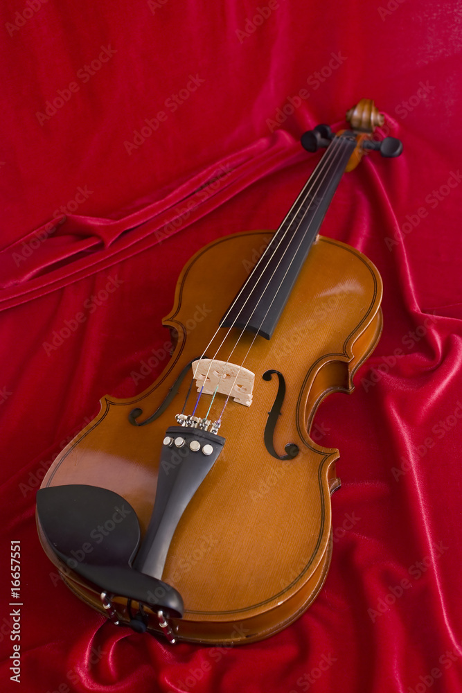 Obraz premium Violin on the red texture
