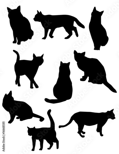 silhouettes of cats