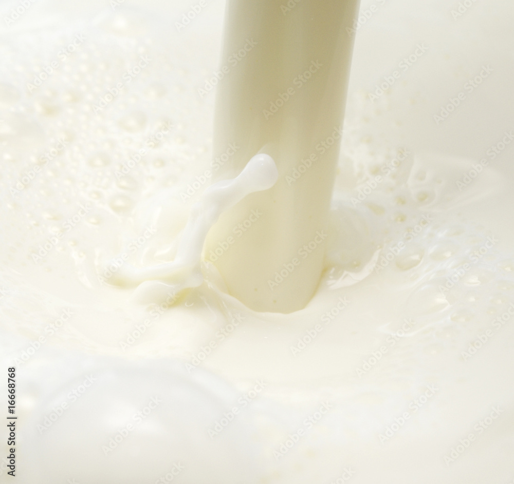 milk milk