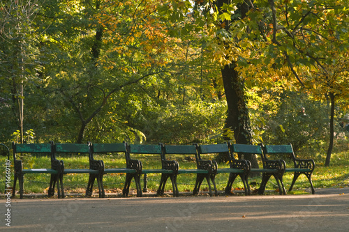 A quiet place photo