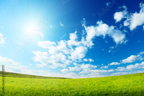 field of  spring grass