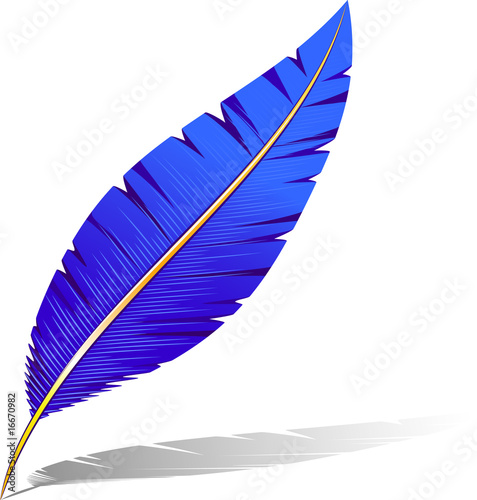 Feather