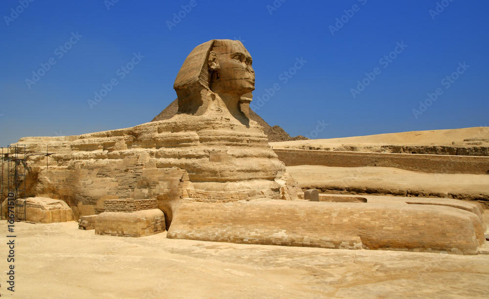 Naklejka premium Egyptian sphinx