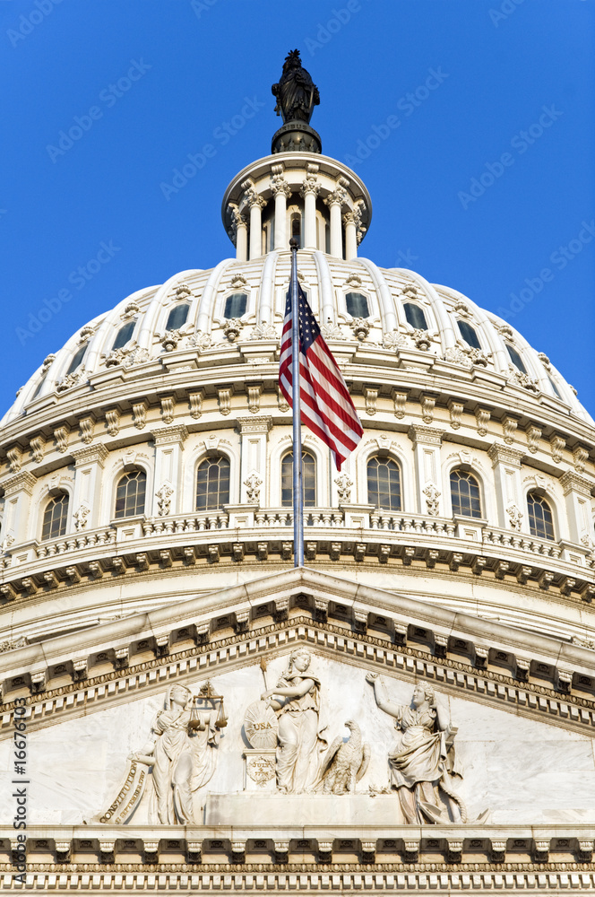 Capitol Flag