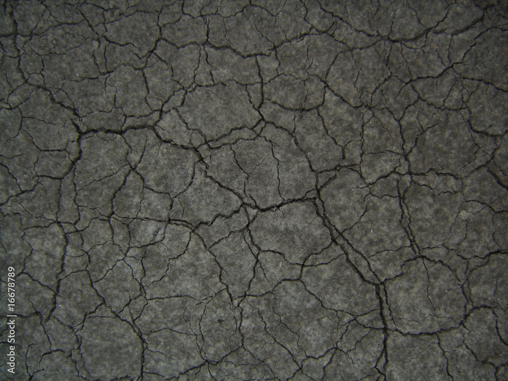 Cracked soil background Cracked soil background