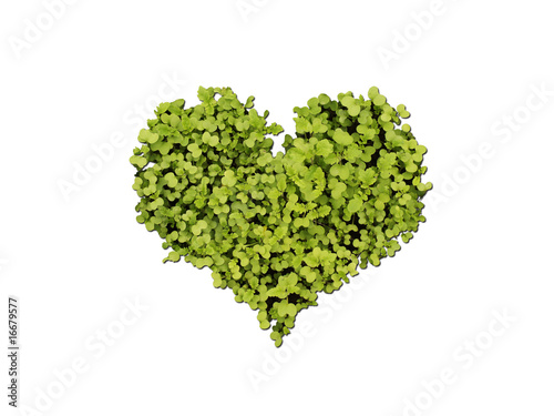 green grass heart