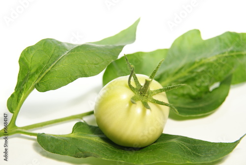 Raw tomato and leaves
