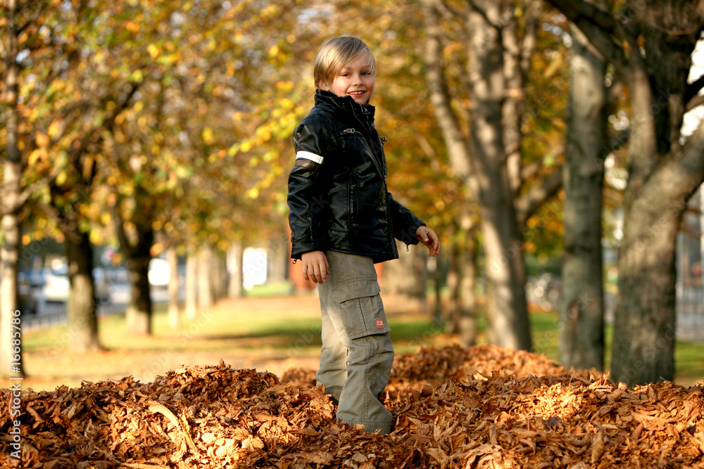 blonder Junge auf Laub im Herbst blonder Junge auf Laub im Herbst