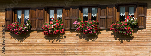 Photos balcone fiorito