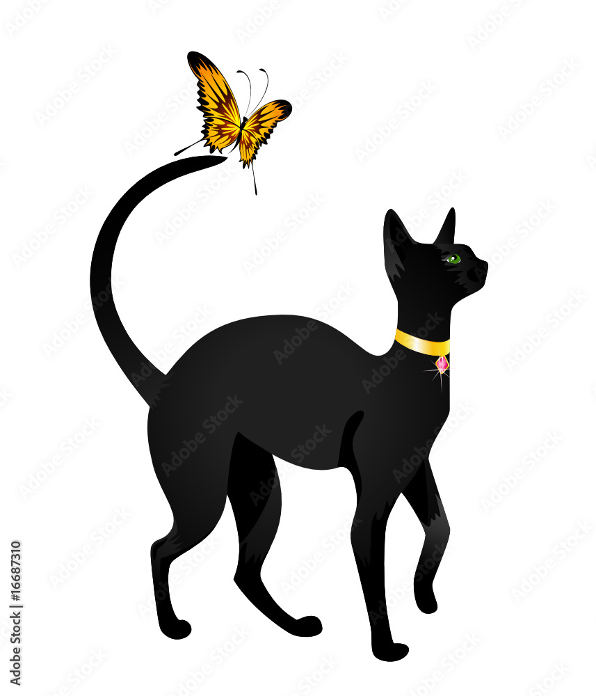 Obraz premium Beautiful black cat on a white background with the butterfly